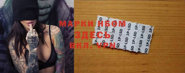 ECSTASY Бородино