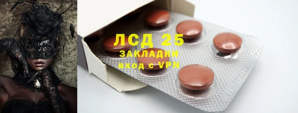 ECSTASY Бородино