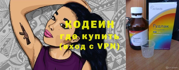 ECSTASY Бородино