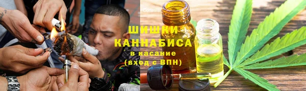 PSILOCYBIN Бугульма